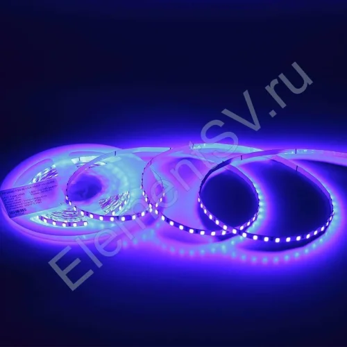 Светодиодная лента Standart Pro class, 2835, 120 led/m, 5mm, без скотча, blue, 24V, IP20, SL8 - фото.