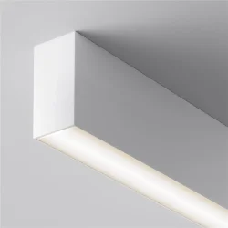 Потолочный светильник Basis 3000K-6000K 20Вт 120° IP 20 (Белый)