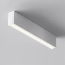 Потолочный светильник Basis 3000K-6000K 20Вт 120° IP 20 (Белый)