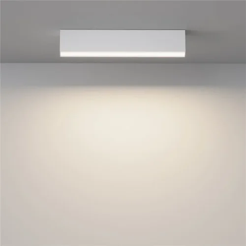 Потолочный светильник Basis 3000K-6000K 20Вт 120° IP 20 (Белый) - фото 4