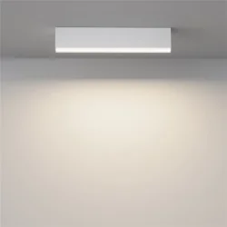 Потолочный светильник Basis 3000K-6000K 20Вт 120° IP 20 (Белый)