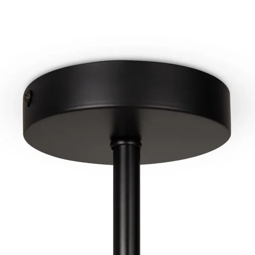 Потолочный светильник Freya FR5376CL-04B (Черный) - фото 6