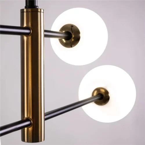 Потолочный светильник Freya FR5376CL-04B (Черный) - фото 8