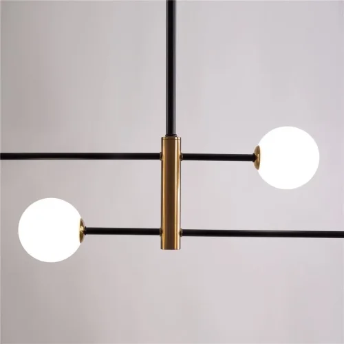 Потолочный светильник Freya FR5376CL-04B (Черный) - фото 9