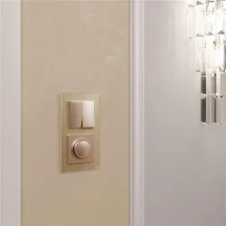 Рамка из стекла на 2 поста Favorit шампань W0021111