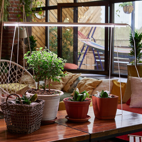 ULI-P11-35W-SPFR IP40 WHITE Светильник для растений светодиодный линейный, 1150мм, выкл, на корпусе, Спектр для фотосинтеза, TM Uniel - фото 10