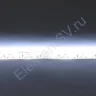 Светодиодная лента LUX class, 3528, 120 led/m, White, 12V, IP65 - фото 3.