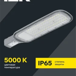 Светильник светодиодный ДКУ 1012-100Ш 5000К IP65 уличный консольный сер. IEK LDKU1-1012-100-5000-K03