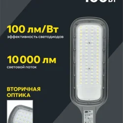 Светильник светодиодный ДКУ 1012-100Ш 5000К IP65 уличный консольный сер. IEK LDKU1-1012-100-5000-K03