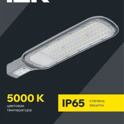Светильник светодиодный ДКУ 1012-100Ш 5000К IP65 уличный консольный сер. IEK LDKU1-1012-100-5000-K03