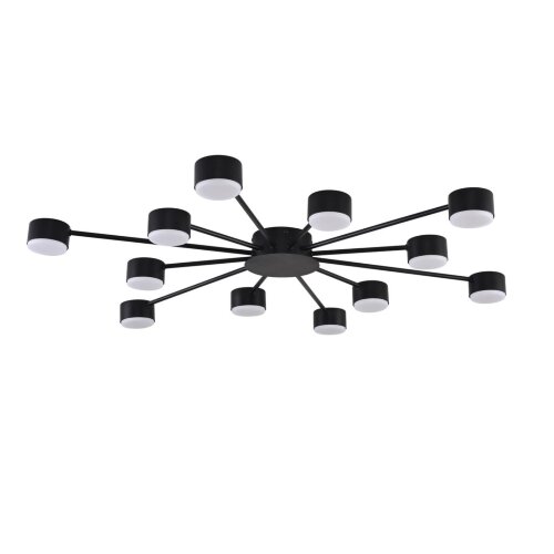 Люстра «LUMION» 8344/12C, серия: TORINA (крепление на планке). Фото 1.