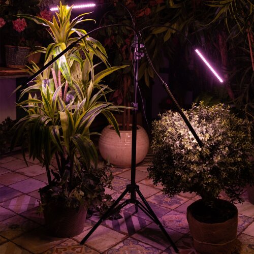 ULT-P32-36W-SPLE-TM-40 IP40 BLACK QUAD Светильник для растений светодиодный с таймером, на штативе, Спектр для фотосинтеза, TM Uniel - фото 7