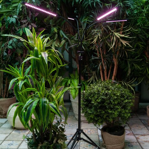 ULT-P32-36W-SPLE-TM-40 IP40 BLACK QUAD Светильник для растений светодиодный с таймером, на штативе, Спектр для фотосинтеза, TM Uniel - фото 4