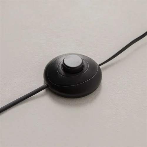 Напольный светильник (торшер) Evolution 3000К 12Вт (Черный) - фото 14