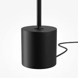 Напольный светильник (торшер) Evolution 3000К 12Вт (Черный)