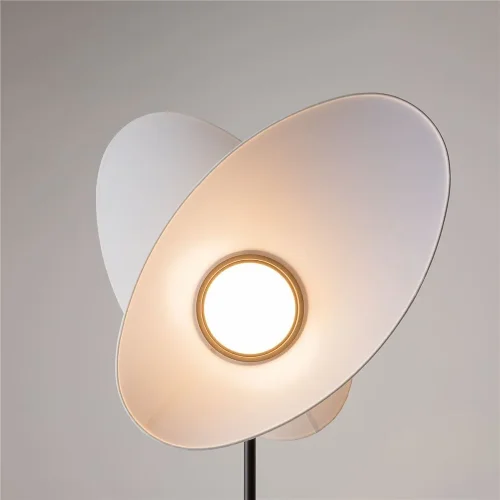 Напольный светильник (торшер) Evolution 3000К 12Вт (Черный) - фото 11