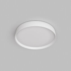 Потолочный светильник Denkirs PLATO | ПЛАТО , Denkirs DK6510-WH