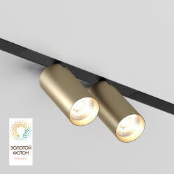 Акцентный светильник SMART SPOT DOUBLE 2x9W DIM 3000K-6000K, матовое золото с черным, Denkirs DK8012-BG