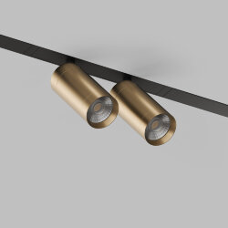 Акцентный светильник SMART SPOT DOUBLE 2x9W DIM 3000K-6000K, матовое золото с черным, Denkirs DK8012-BG