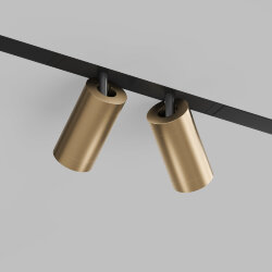 Акцентный светильник SMART SPOT DOUBLE 2x9W DIM 3000K-6000K, матовое золото с черным, Denkirs DK8012-BG