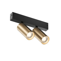 Акцентный светильник SMART SPOT DOUBLE 2x9W DIM 3000K-6000K, матовое золото с черным, Denkirs DK8012-BG