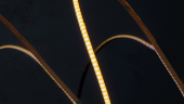 Светодиодная лента SWG PRO COB, 400 LED/м, 4,8 Вт/м, 24В , IP20, Цвет: Теплый белый, SWG-COB400-24-4.8-WW купить в SWG - официальный производитель - фото
