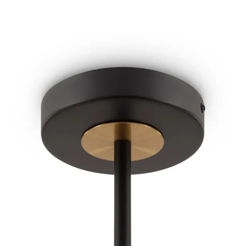 Потолочный светильник Freya FR5370CL-06B (Черный) - фото 5