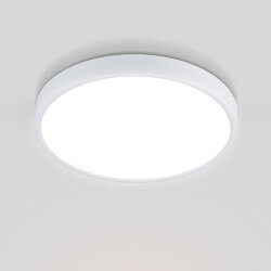 Накладной потолочный светодиодный светильник DLR034 24W 4200K