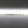 Светодиодная лента Standart PRO class, 5050, 60led/m, Warm White, 12V, IP65 - фото 3.