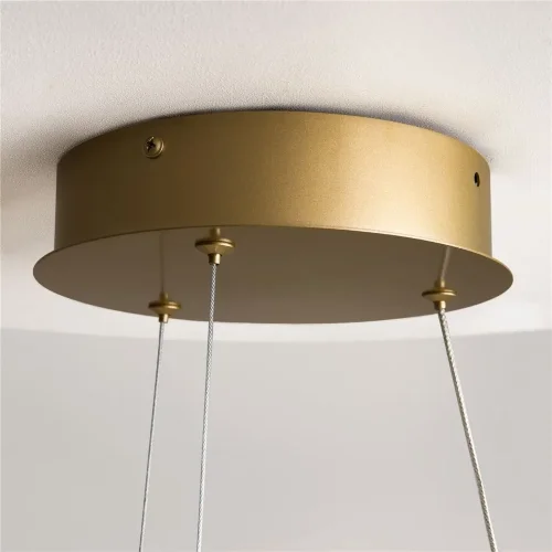 Подвесной светильник Curve 2600-3500К 52Вт (Латунь) - фото 2