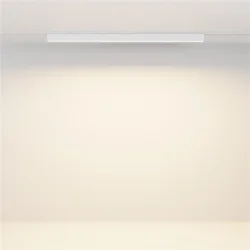 Трековый светильник Базис / Basis Radity 2700-6500K 20Вт 120° Dim Smart (Белый) TR080-4-20WTW-W