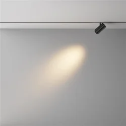 Трековый светильник Фокус Зум / Focus Zoom Exility X 2700-6000K 12Вт 10-45° Dim Dali2 (Черный) TR244-4-12WTW-DD2-B