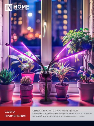 Светильник настольный на основании светодиодный СНО-Т2-ФИТО 4С40 красно-синий 40Вт 4 плафона, пульт на шнуре IN HOME - Фото 2