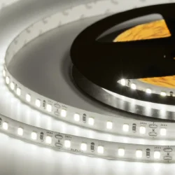 Лента светодиодная ELF 600SMD диодов (2835), 24В, 5м, белый 6500-7000К