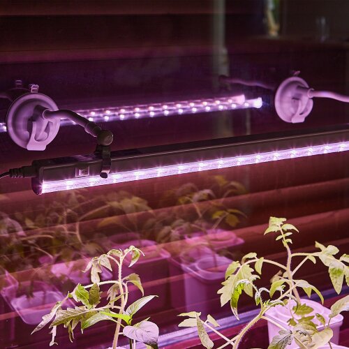 UFP-M01R-150 WHITE POLYBAG SET2 Подставка для светильника ULI-P, на присоске, длина трубки 150мм, Набор из 2шт, Белая, TM ФитоЛето - фото 11