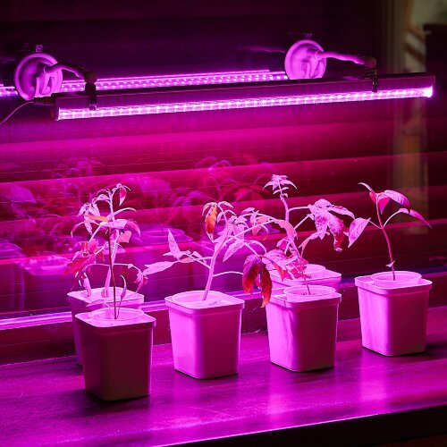 UFP-M01R-150 WHITE POLYBAG SET2 Подставка для светильника ULI-P, на присоске, длина трубки 150мм, Набор из 2шт, Белая, TM ФитоЛето - фото 12