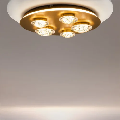 Потолочный светильник Pharao 3000К 56Вт (Черный и Латунь) - фото 3