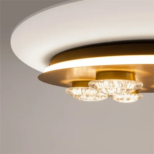 Потолочный светильник Pharao 3000К 56Вт (Черный и Латунь) - фото 5