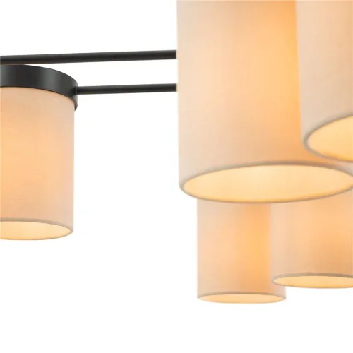 Потолочный светильник Freya FR5377CL-08B (Черный) - фото 4