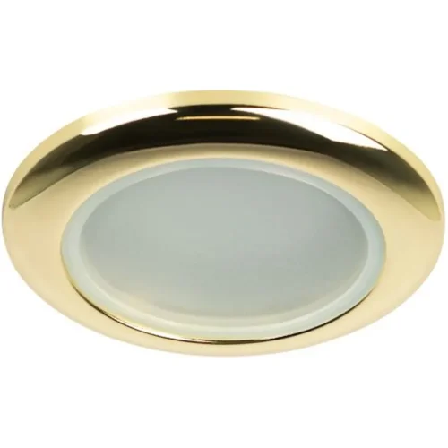 Светильник точечный WR1 GD 50Вт IP44 MR16 12В влагозащ. зол. ЭРА C0043846 - фото