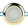 Светильник точечный WR1 GD 50Вт IP44 MR16 12В влагозащ. зол. ЭРА C0043846 - фото 4