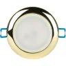 Светильник точечный WR1 GD 50Вт IP44 MR16 12В влагозащ. зол. ЭРА C0043846 - фото 5