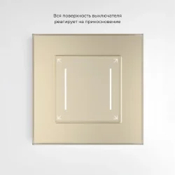Сенсорный выключатель двухклавишный с подсветкой (шампань) W4522011