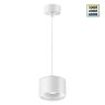 Подвес накладной, светодиодный с переключателем цветовой температуры, длина провод 2м «Novotech» 358967, серия: GIRO. Фото 1.