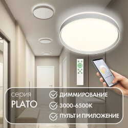 Накладной светильник, LED, 50W, IP 20, 3000K - 6500K, белый, металл, полимер, Denkirs DK6511-WH