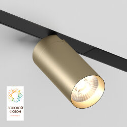 Акцентный светильник SMART SPOT 20W DIM 3000K-6000K, матовое золото с черным, Denkirs DK8020-BG