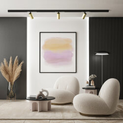 Акцентный светильник SMART SPOT 20W DIM 3000K-6000K, матовое золото с черным, Denkirs DK8020-BG