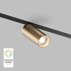 Акцентный светильник SMART SPOT 20W DIM 3000K-6000K, матовое золото с черным, Denkirs DK8020-BG