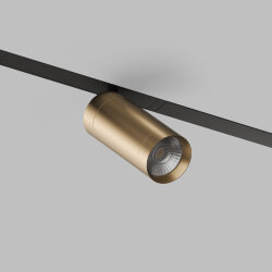 Акцентный светильник SMART SPOT 20W DIM 3000K-6000K, матовое золото с черным, Denkirs DK8020-BG