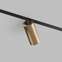 Акцентный светильник SMART SPOT 20W DIM 3000K-6000K, матовое золото с черным, Denkirs DK8020-BG